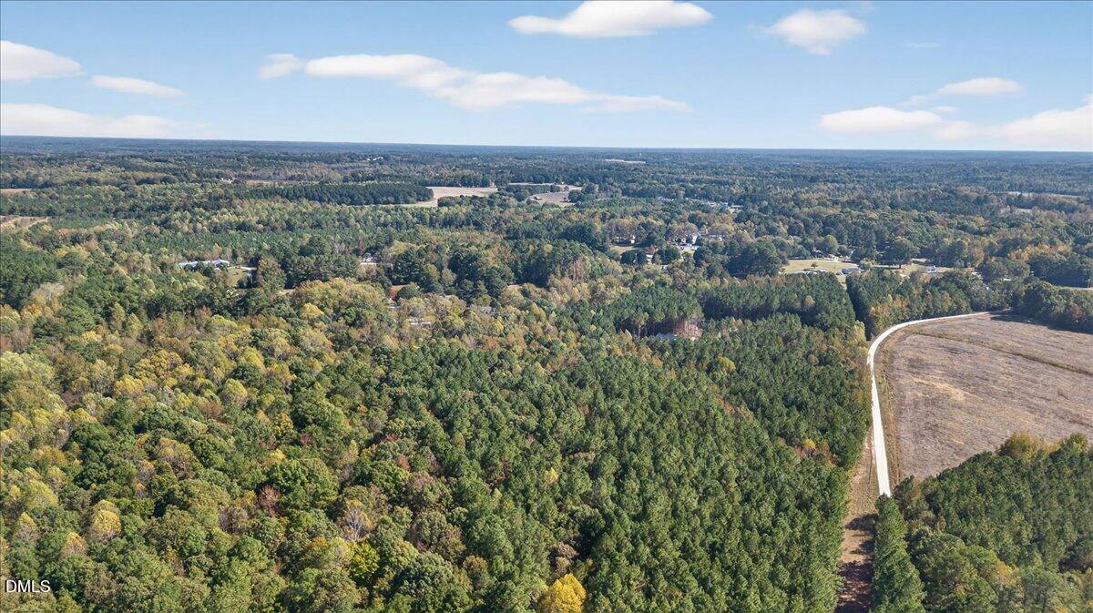 0 Andrew Denton Road Louisburg, NC 27549 - Photo 12 of 27 a view of a city with lush green forest