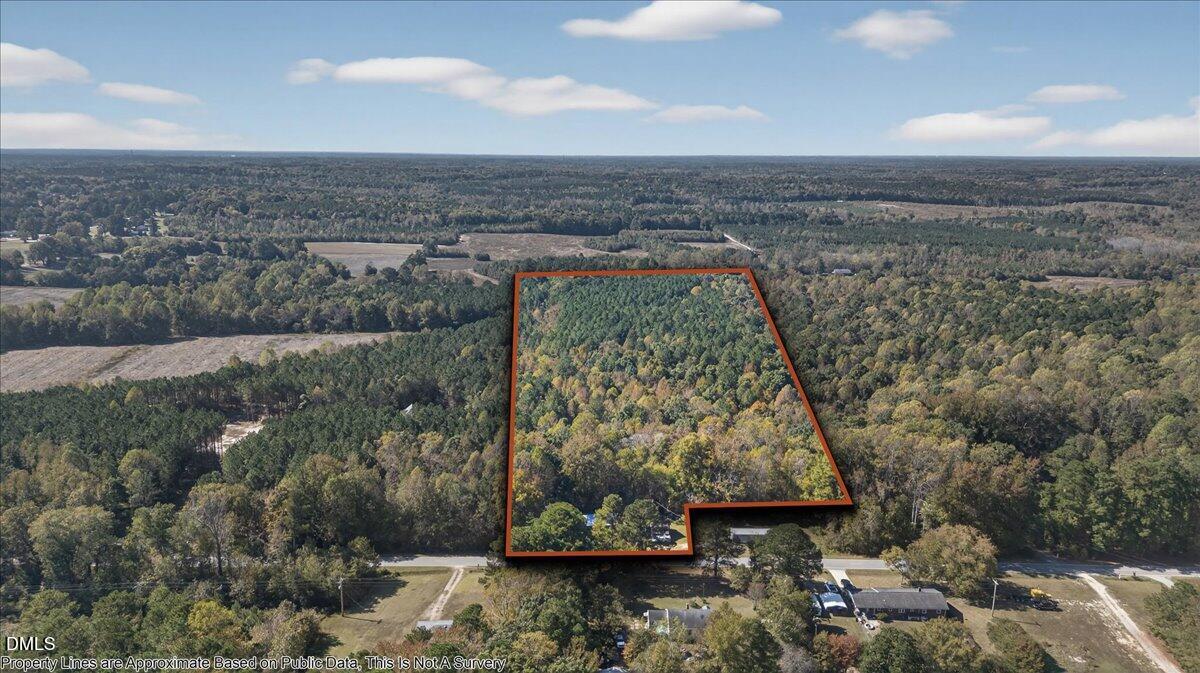 0 Andrew Denton Road Louisburg, NC 27549 - Photo 2 of 27 a view of a garden