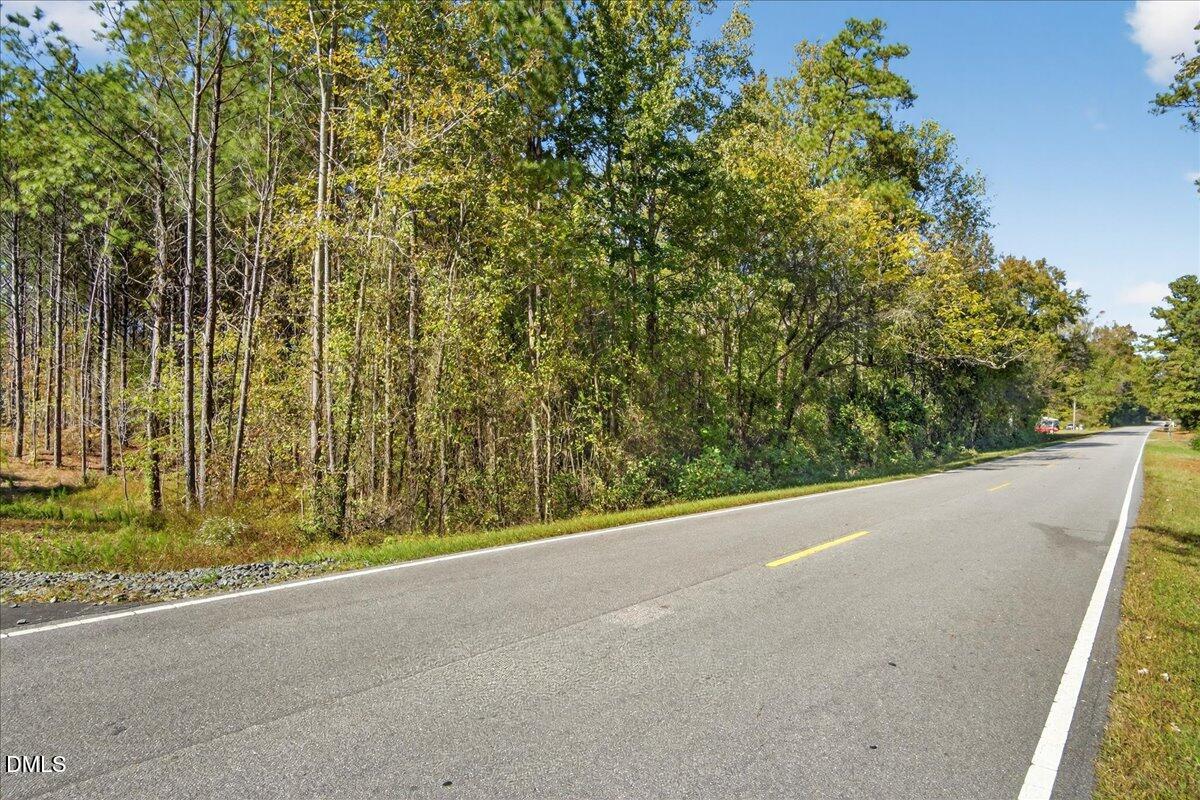 0 Andrew Denton Road Louisburg, NC 27549 - Photo 21 of 27