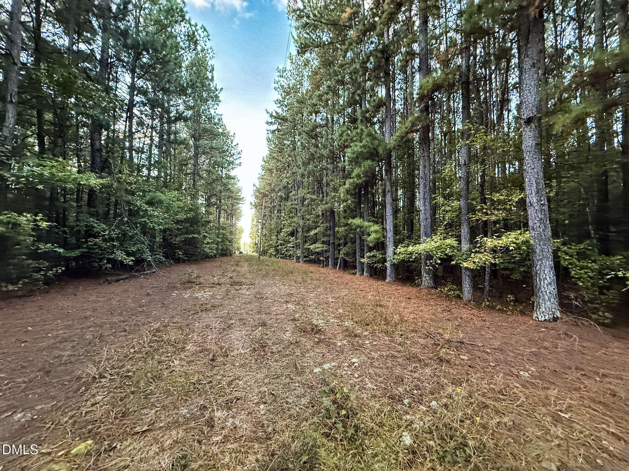 0 Andrew Denton Road Louisburg, NC 27549 - Photo 23 of 27 a view of outdoor space and yard