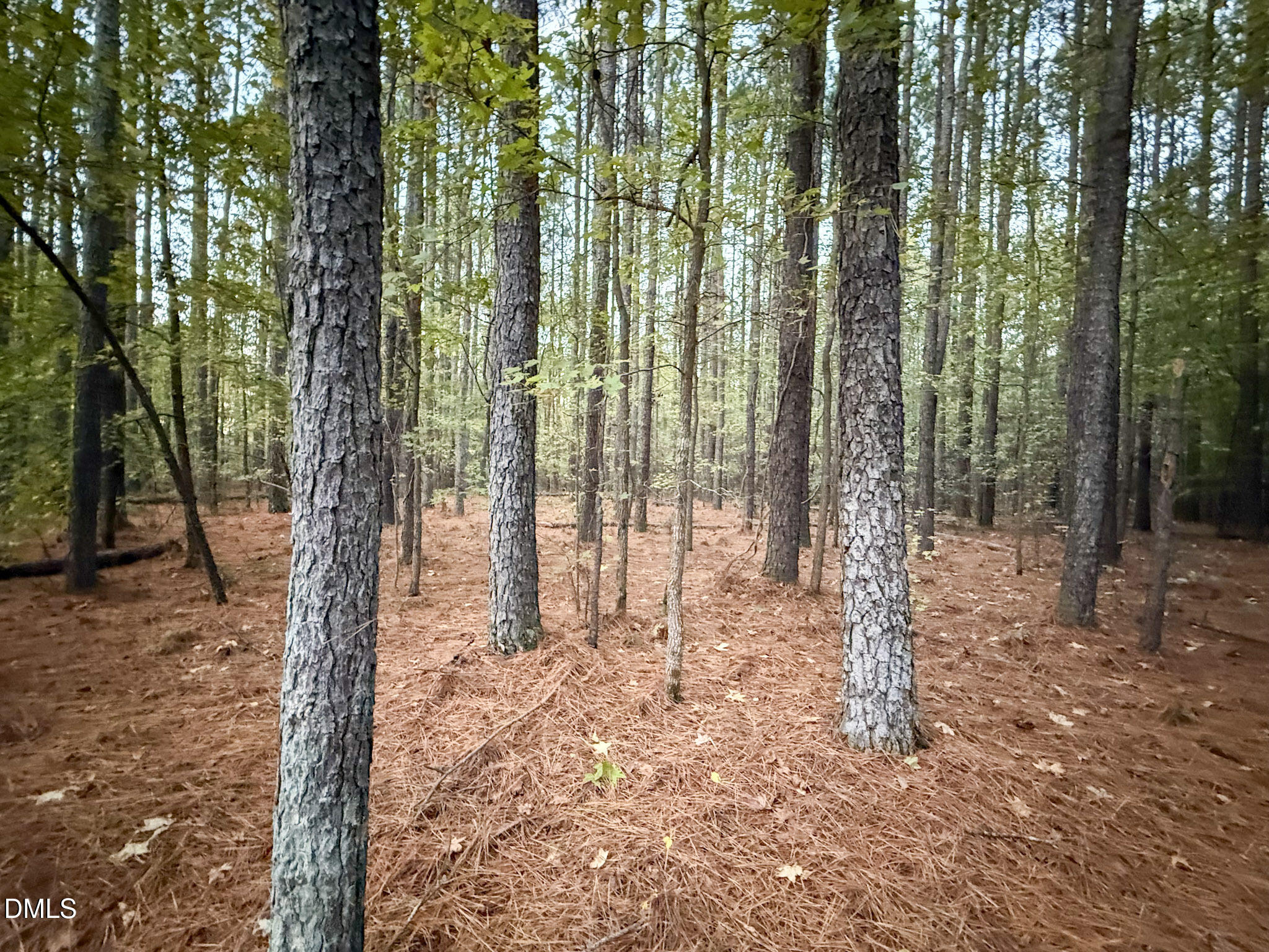 0 Andrew Denton Road Louisburg, NC 27549 - Photo 25 of 27 a view of outdoor space with lots of trees
