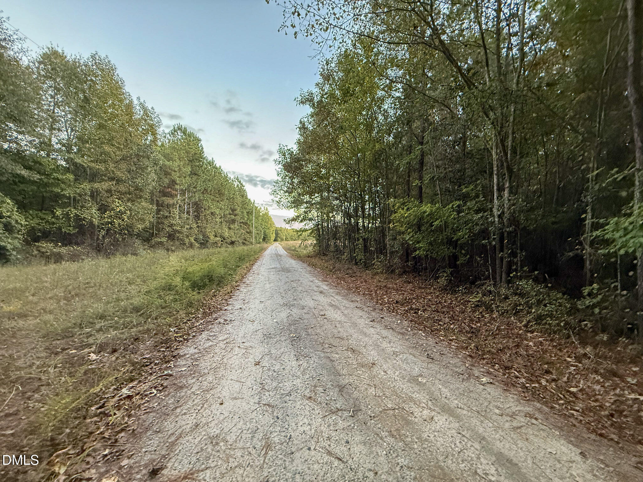 0 Andrew Denton Road Louisburg, NC 27549 - Photo 26 of 27 a view of a dirt road with trees in the background