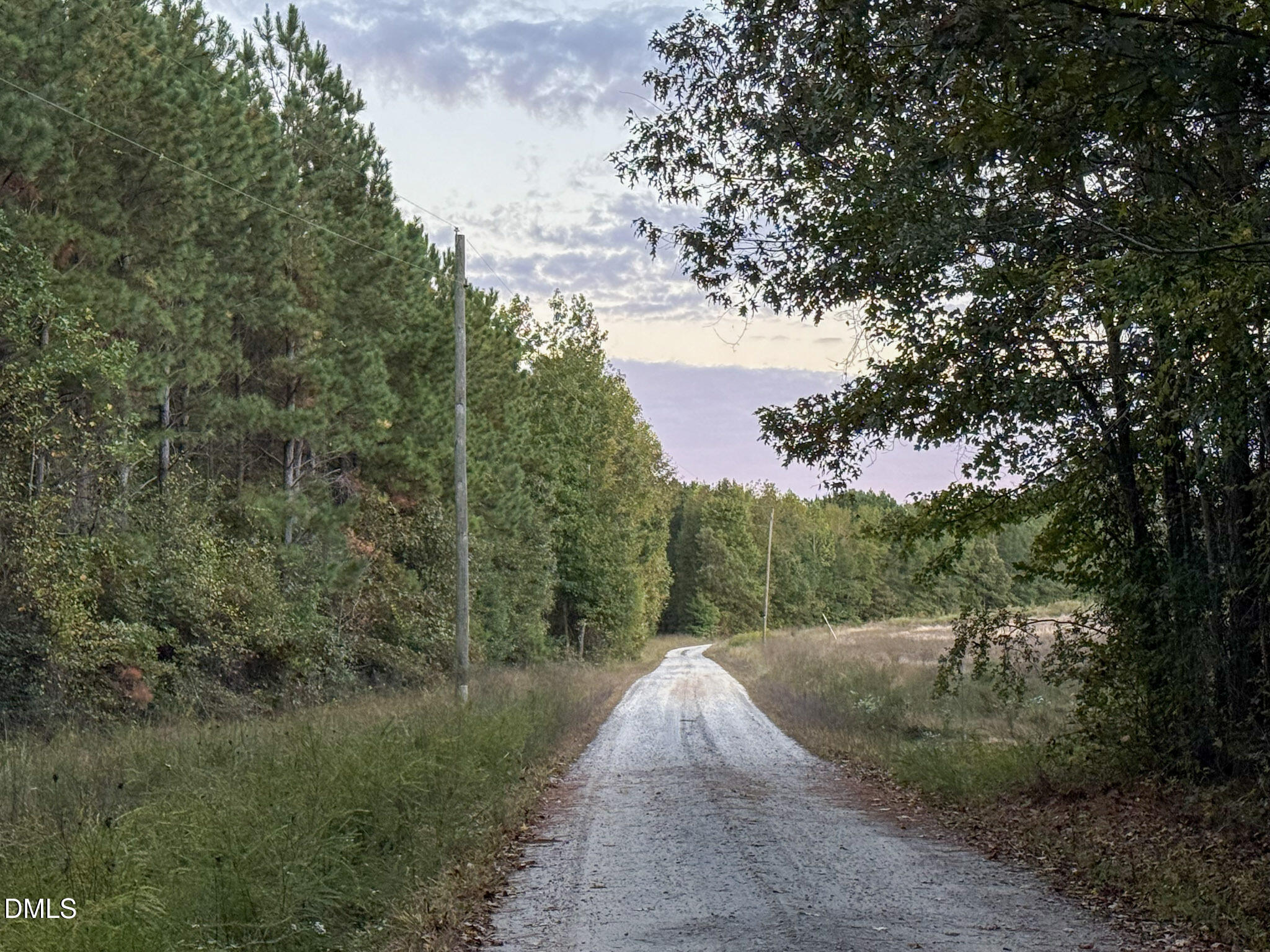 0 Andrew Denton Road Louisburg, NC 27549 - Photo 27 of 27 a view of a forest with trees in the background
