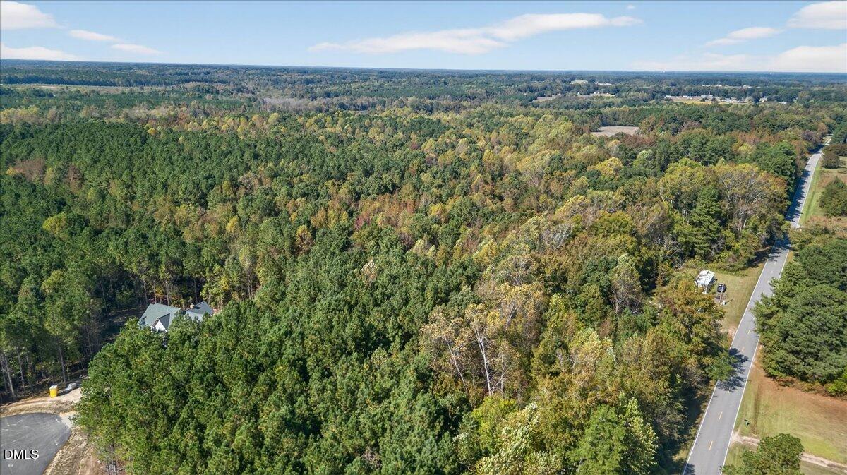0 Andrew Denton Road Louisburg, NC 27549 - Photo 6 of 27 a view of a city with lush green forest