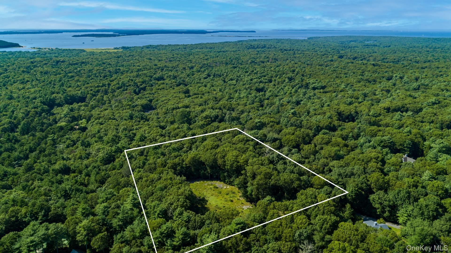 1593 Deerfield Road Water Mill, NY 11976 - Photo 4 of 9 View of property location featuring property boundaries highlighted and a large body of water