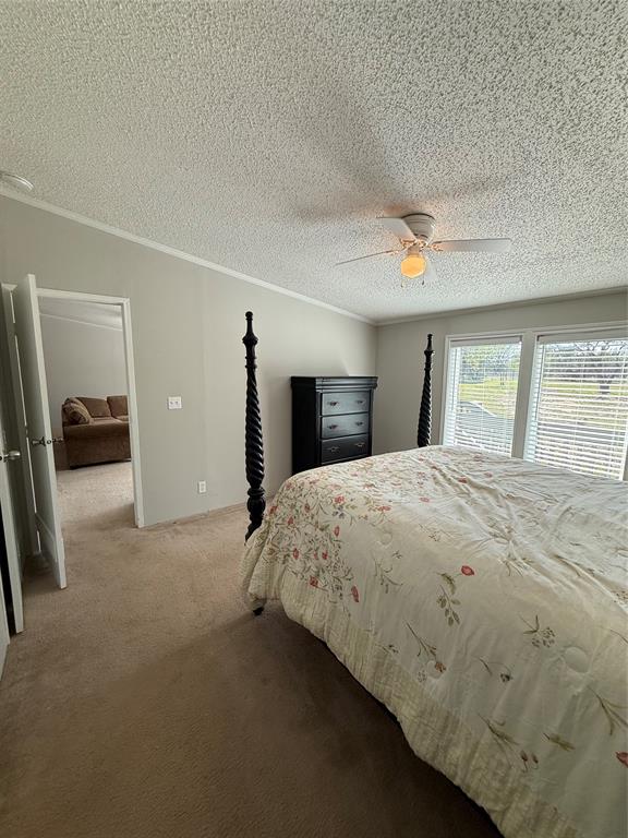 277 Oaks Crossing Road Mineral Wells, TX 76067 - Photo 18 of 25 a bedroom with a bed and a large mirror