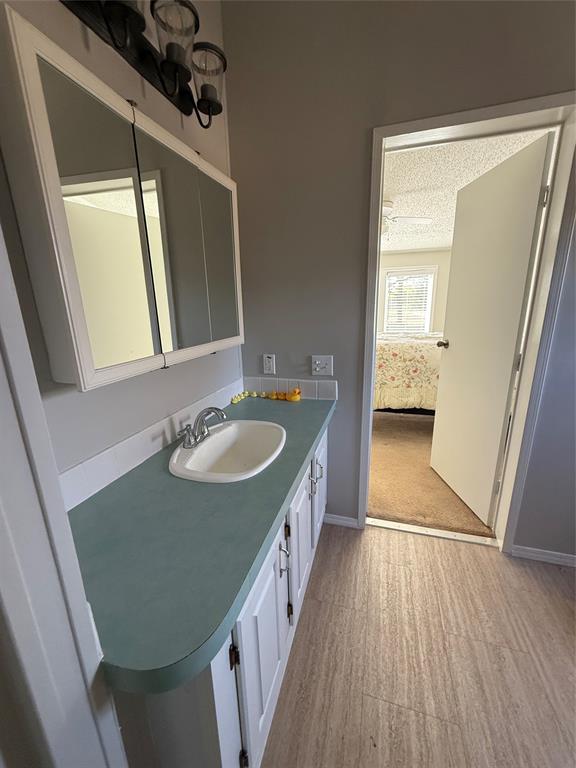 277 Oaks Crossing Road Mineral Wells, TX 76067 - Photo 23 of 25 a bathroom with a sink a mirror and a bathtub
