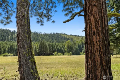 a view of a yard with an trees