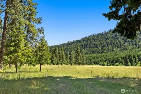 a view of yard with green space