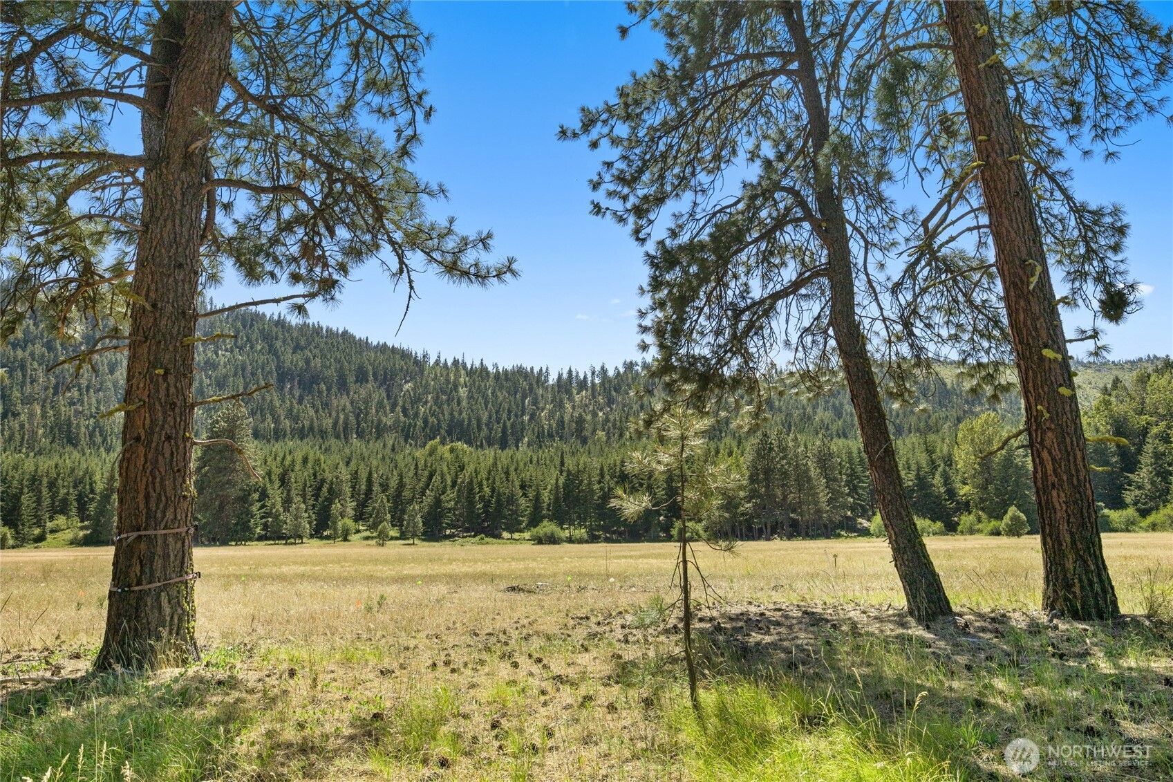 18 Domerie Park Loop Cle Elum, WA 98922 - Photo 4 of 28