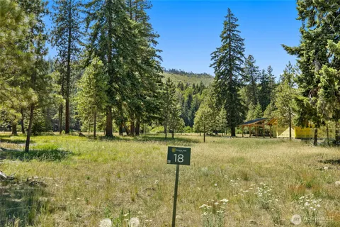 a view of yard with trees