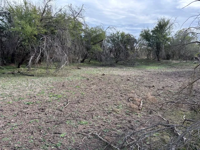 a view of a backyard with trees