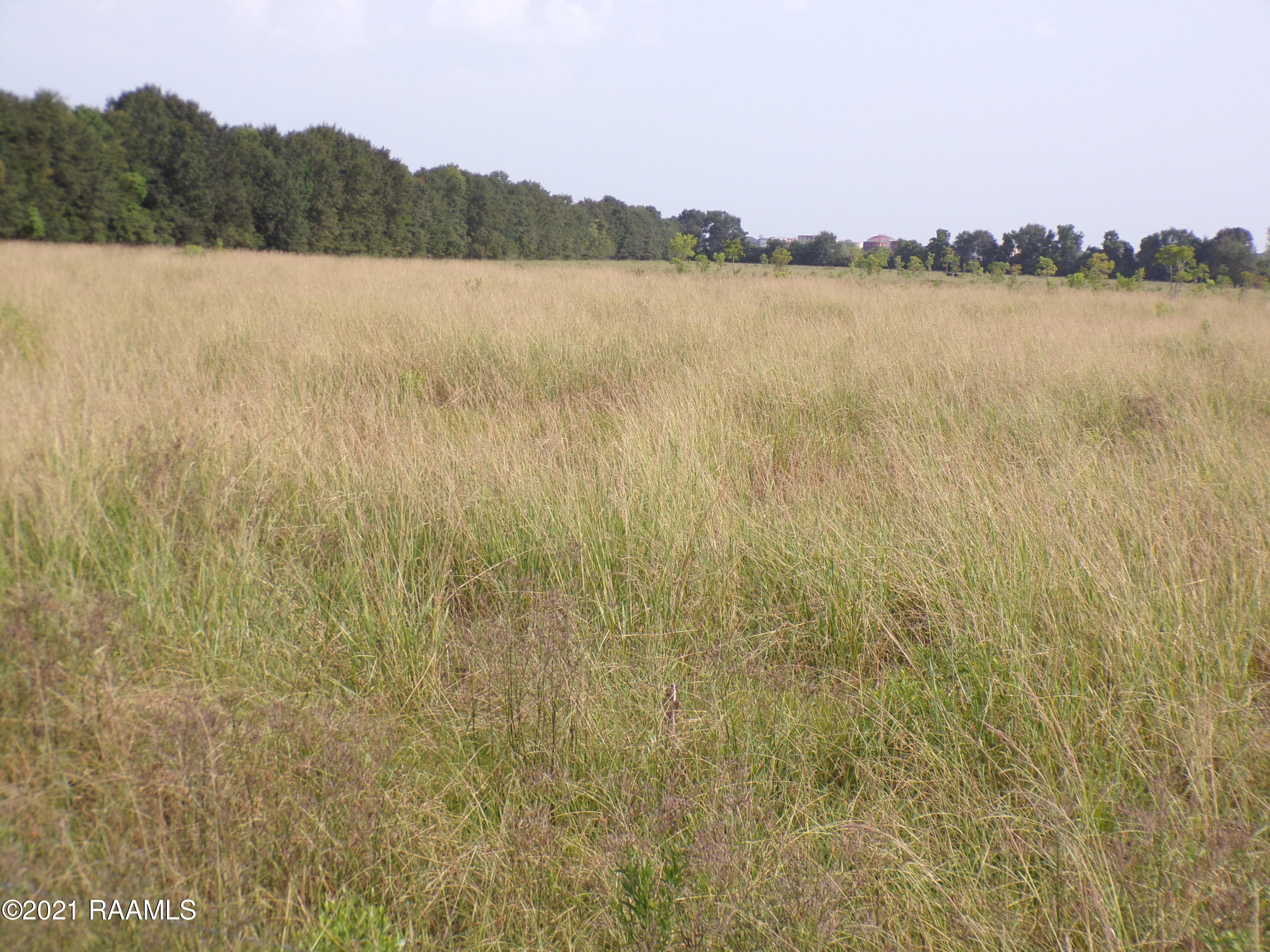 3 Duplechain Church Point Church Point, LA 70525 - Photo 4 of 9