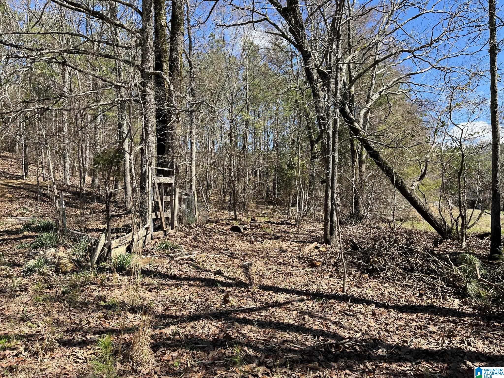 150 Wilson Mine Road, Unit 910 Piedmont, AL 36272 - Photo 29 of 36