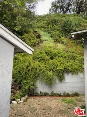 a view of a yard with plants