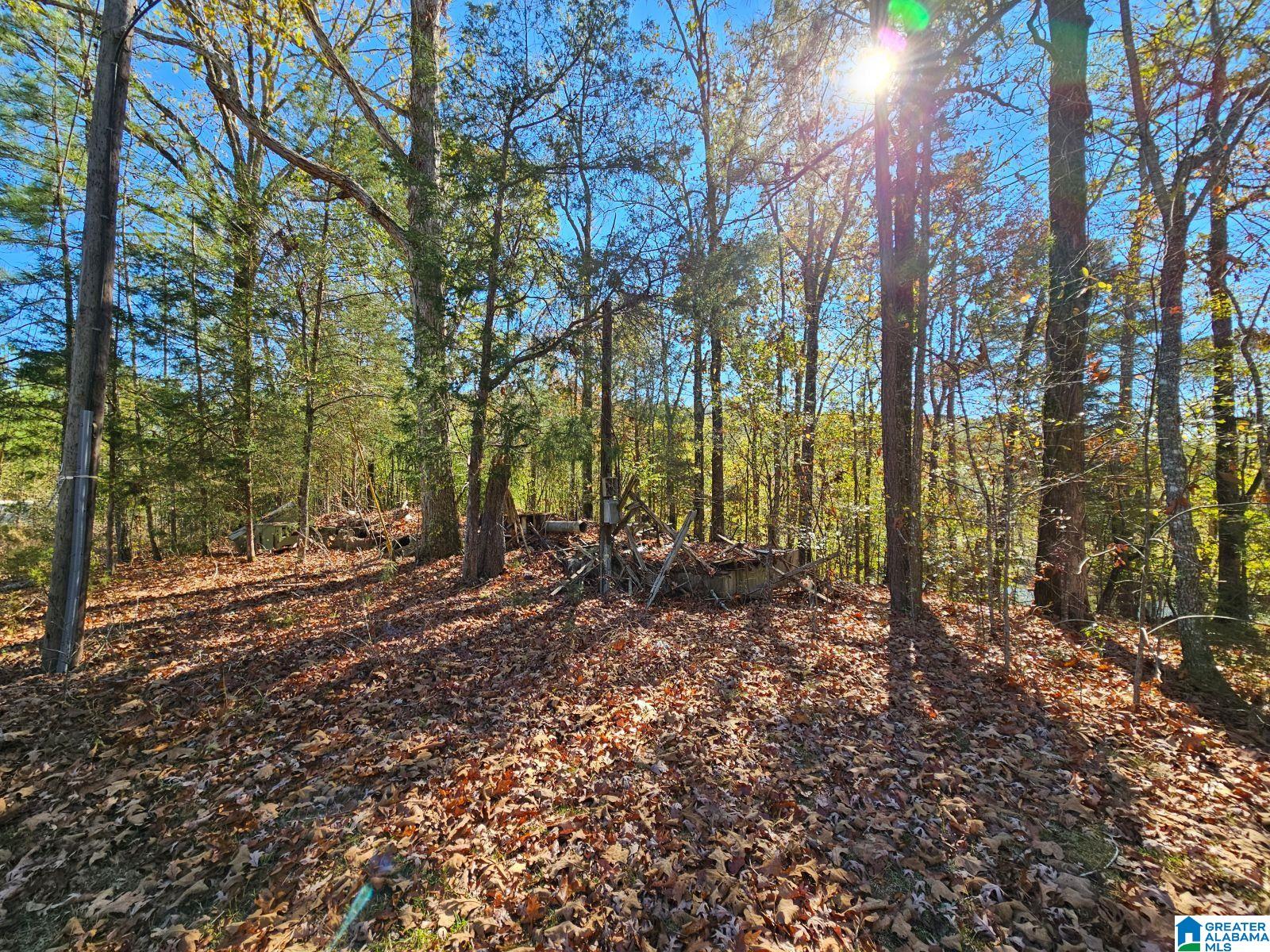 397 Chicksaw Trail, Unit 17 Ohatchee, AL 36271 - Photo 3 of 3