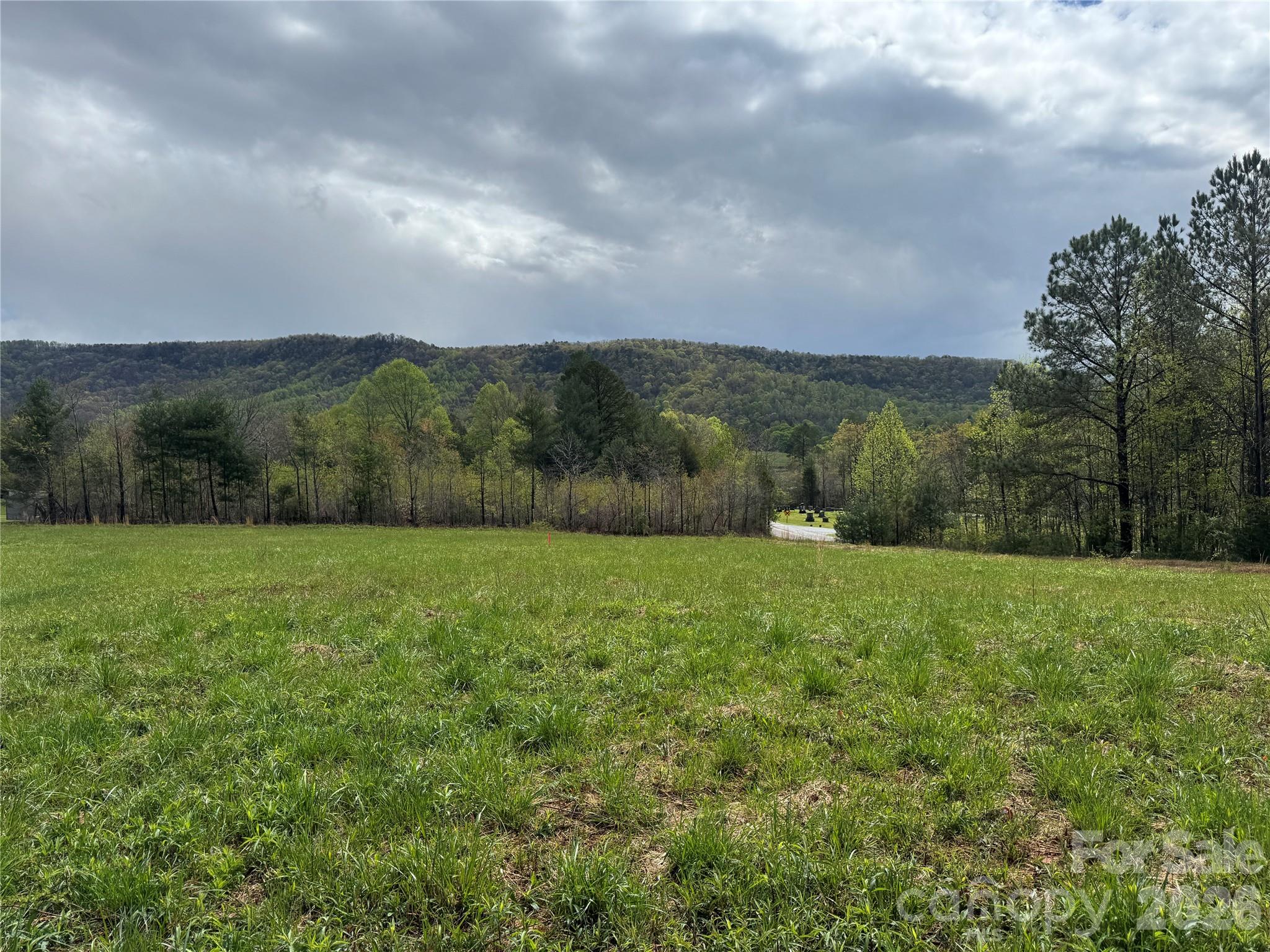 99999 Huntsville Road Marion, NC 28752 - Photo 3 of 13