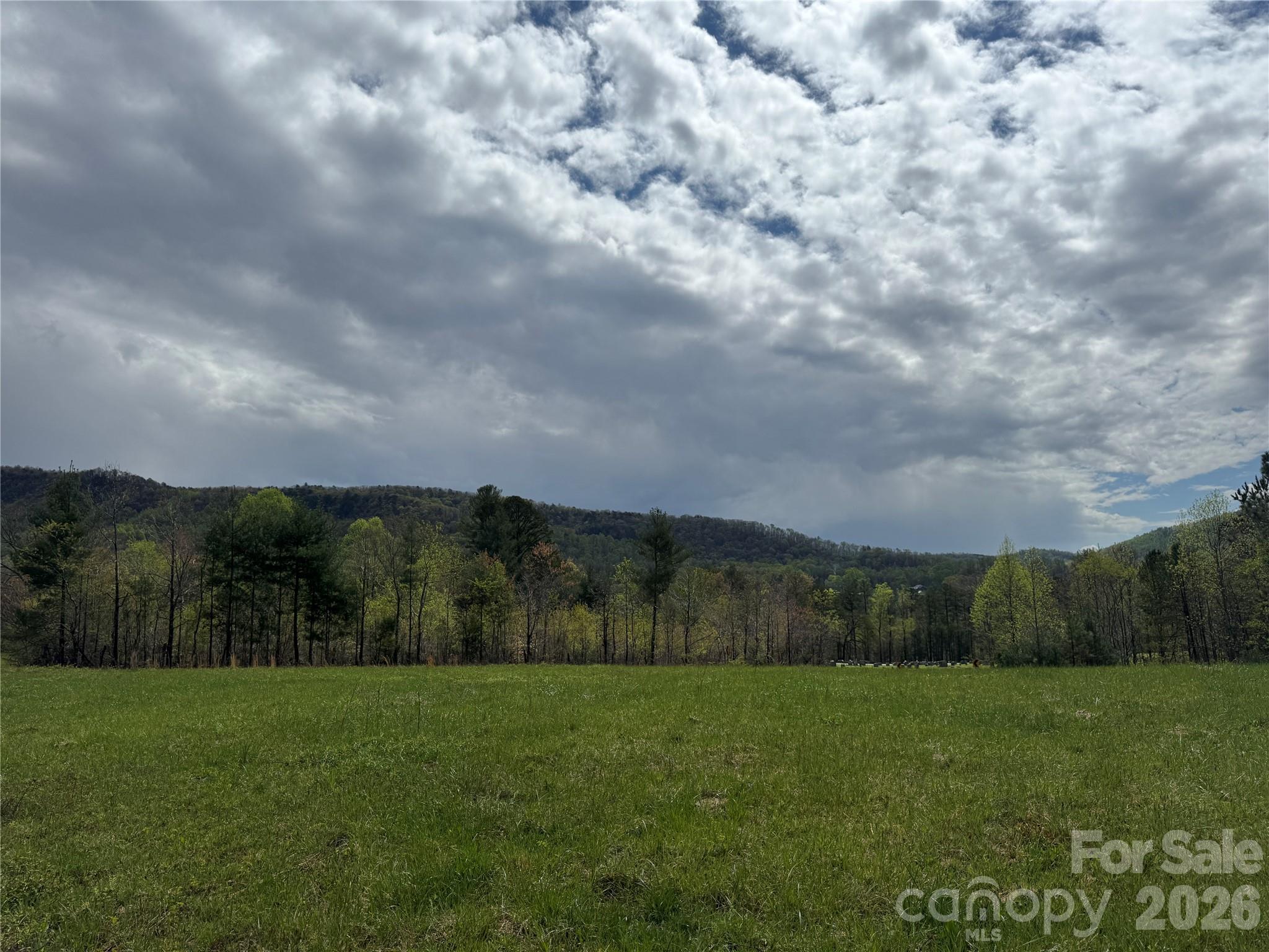 99999 Huntsville Road Marion, NC 28752 - Photo 5 of 13