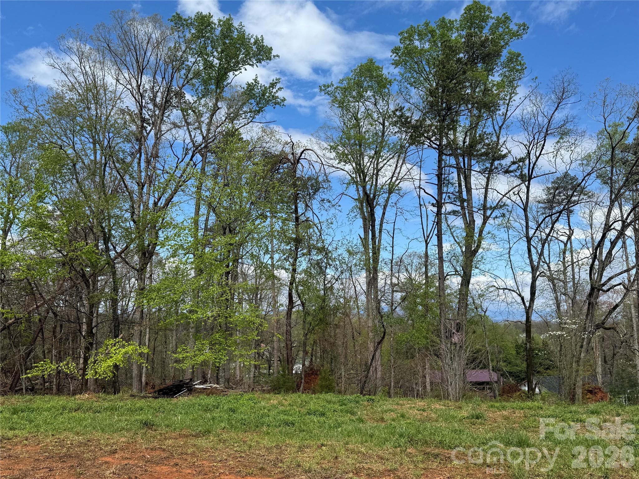 99999 Huntsville Road Marion, NC 28752 - Photo 7 of 13