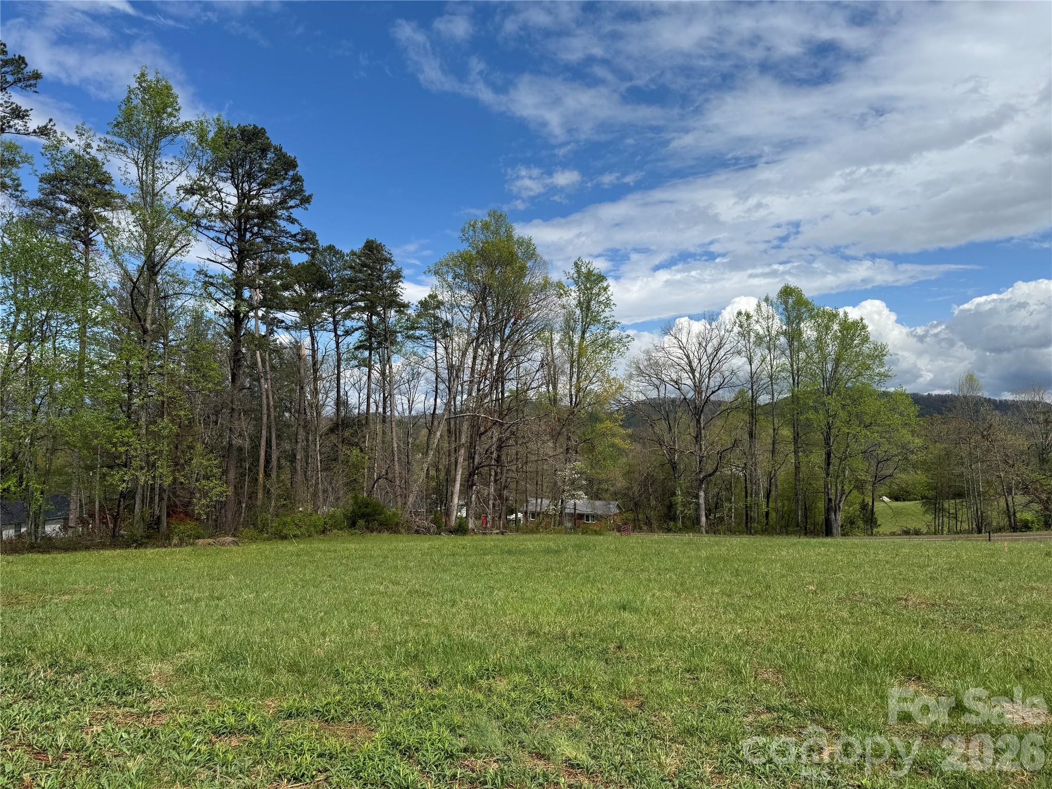 99999 Huntsville Road Marion, NC 28752 - Photo 9 of 13