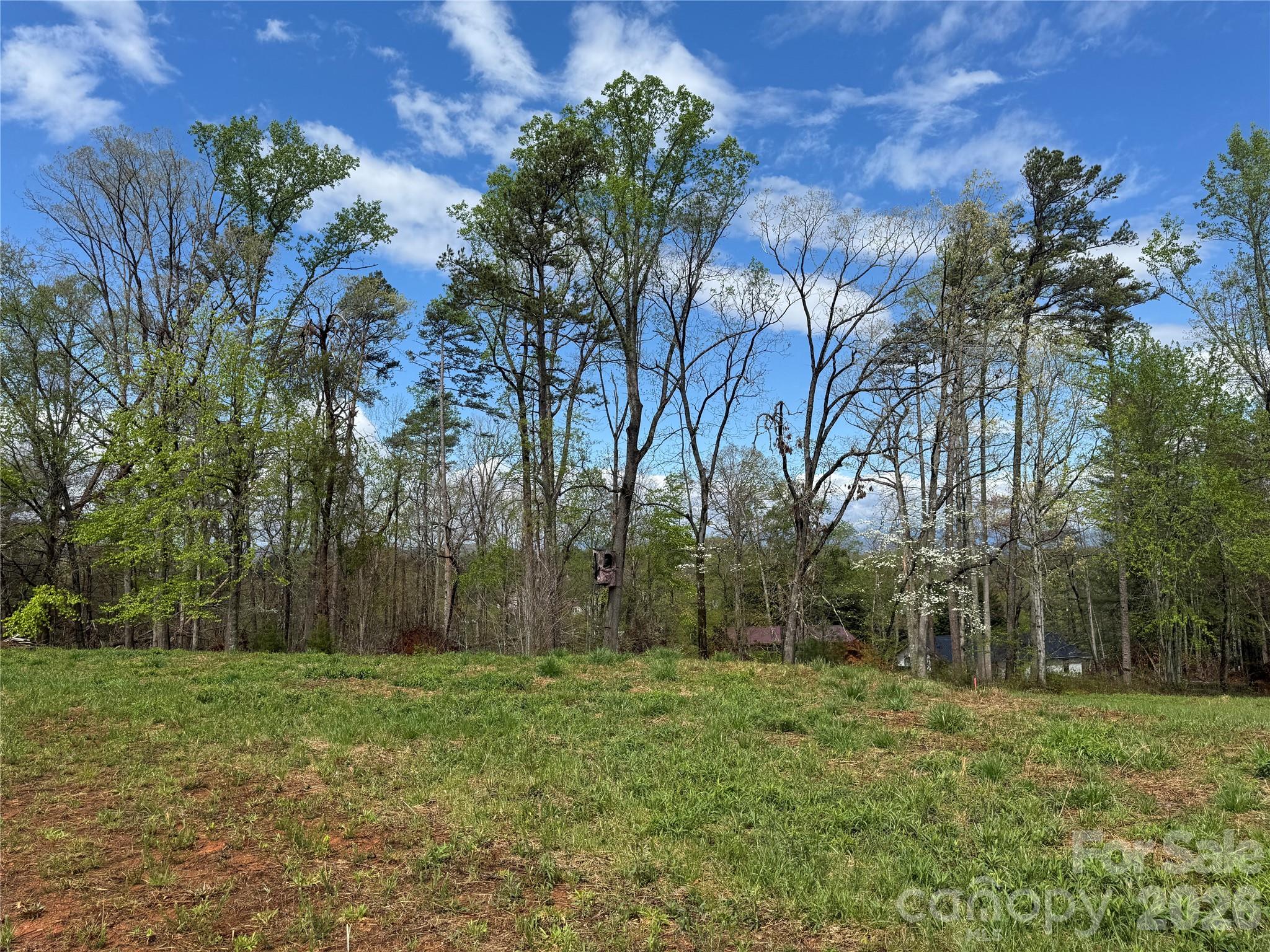 99999 Huntsville Road Marion, NC 28752 - Photo 10 of 13