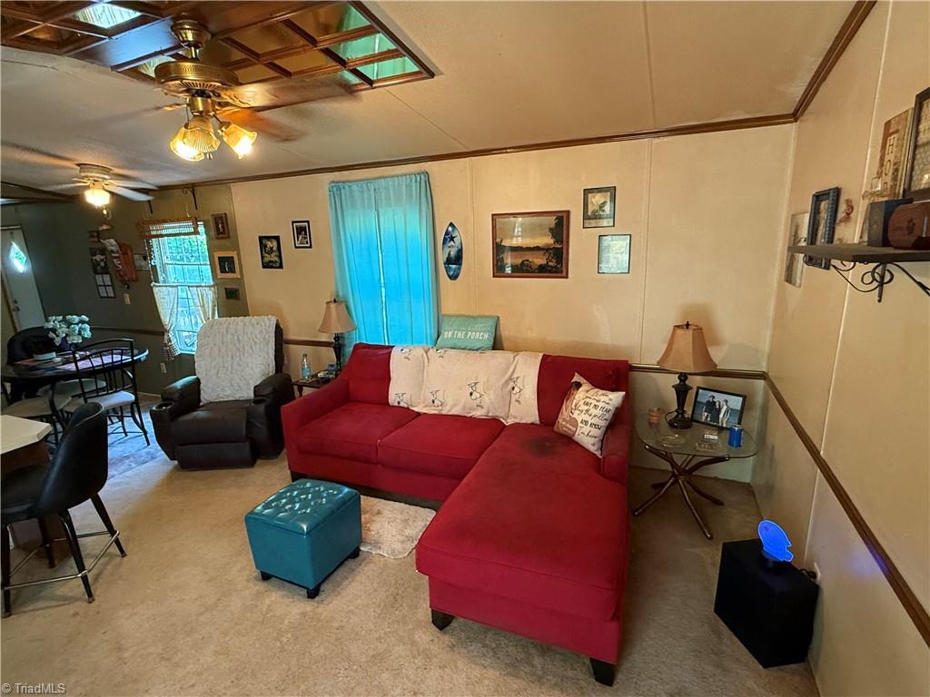 155 Roach Road Reidsville, NC 27320 - Photo 5 of 13