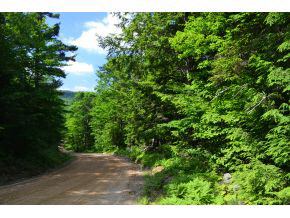 110 Tioga Road Hill, NH 03243 - Photo 1 of 9