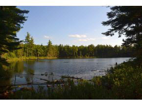 110 Tioga Road Hill, NH 03243 - Photo 2 of 9