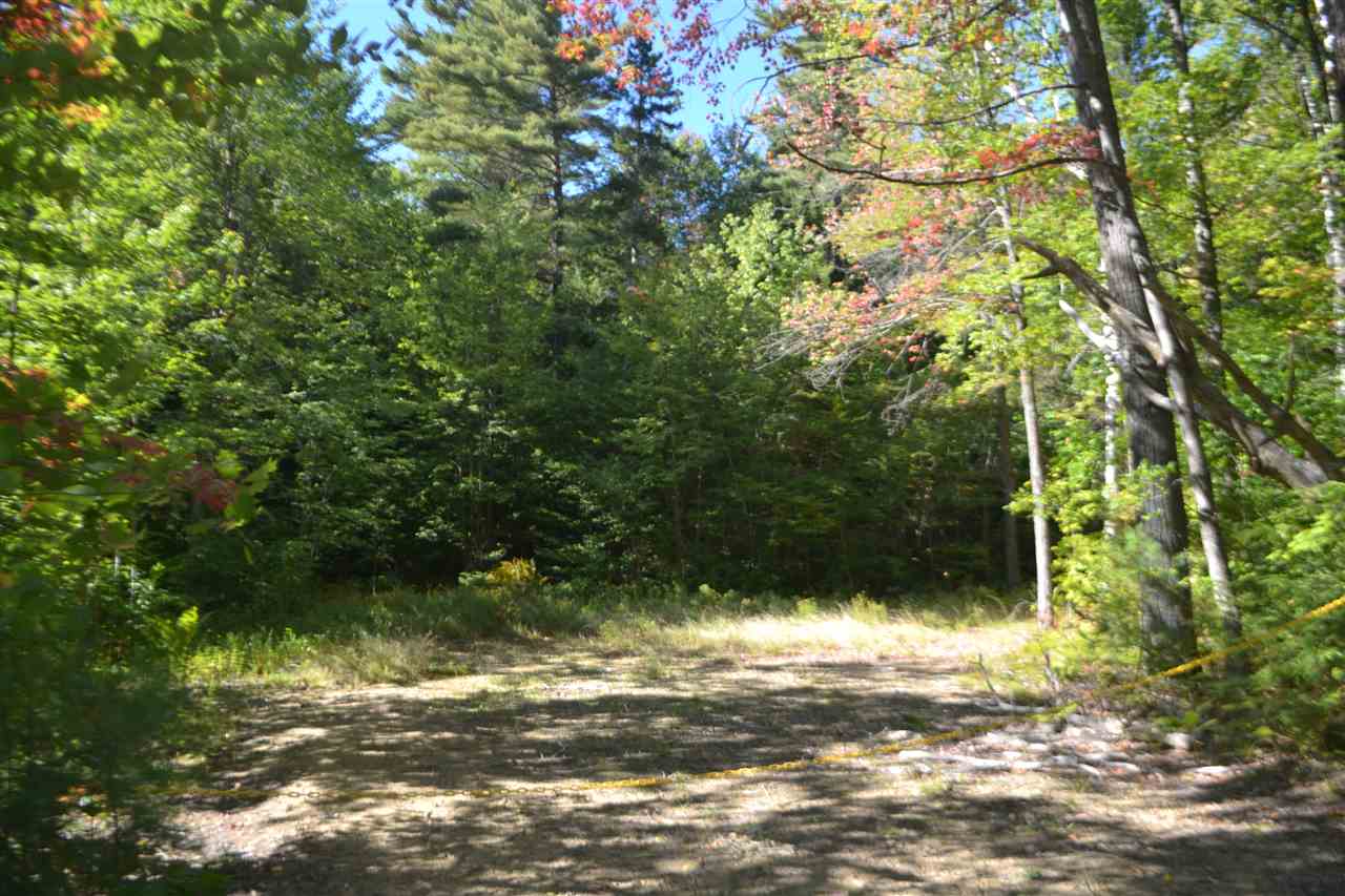 110 Tioga Road Hill, NH 03243 - Photo 3 of 9