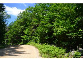 110 Tioga Road Hill, NH 03243 - Photo 4 of 9