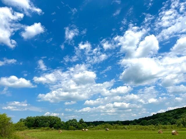 0 Lamor Road Mercer, PA 16137 - Photo 1 of 38 a view of a big yard