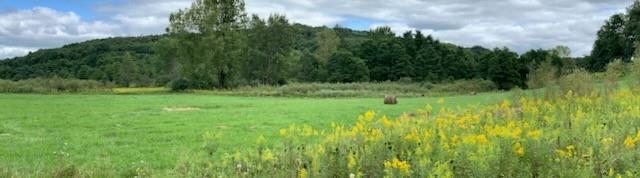 0 Lamor Road Mercer, PA 16137 - Photo 3 of 38 a view of outdoor space with green field and trees