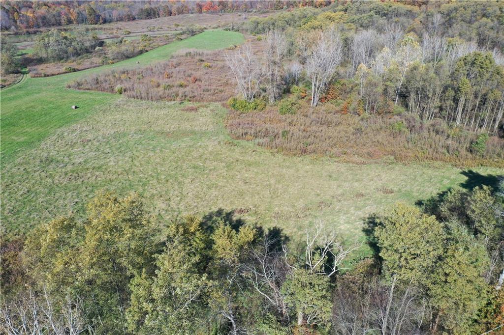 0 Lamor Road Mercer, PA 16137 - Photo 35 of 38 a view of a yard with a tree