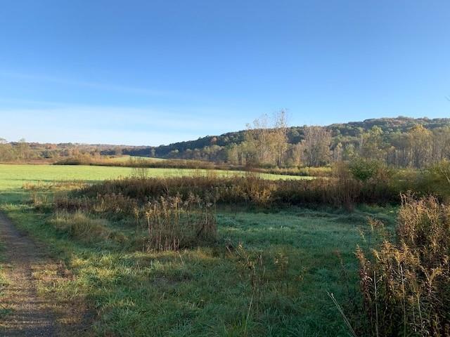 0 Lamor Road Mercer, PA 16137 - Photo 9 of 38 a view of a lake with a mountain in the background