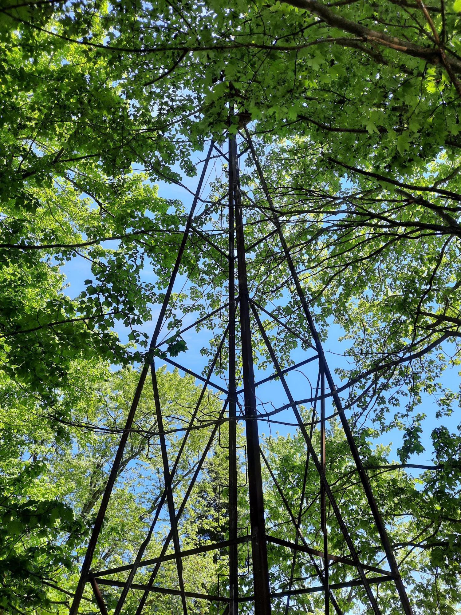 6086 Kerry Road Manistee, MI 49660 - Photo 40 of 48 OG Windmill Well