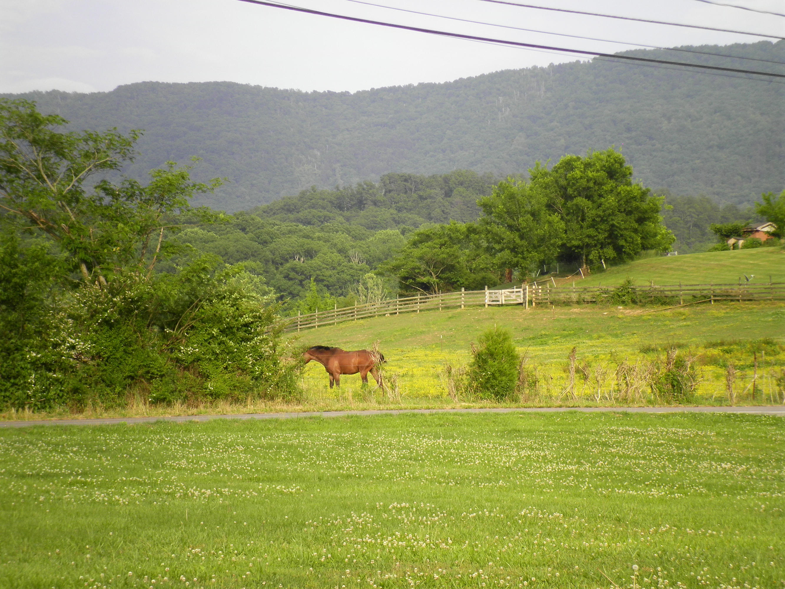 4301 Montvale Road Maryville, TN 37803 - Photo 3 of 14 Montvale road 014