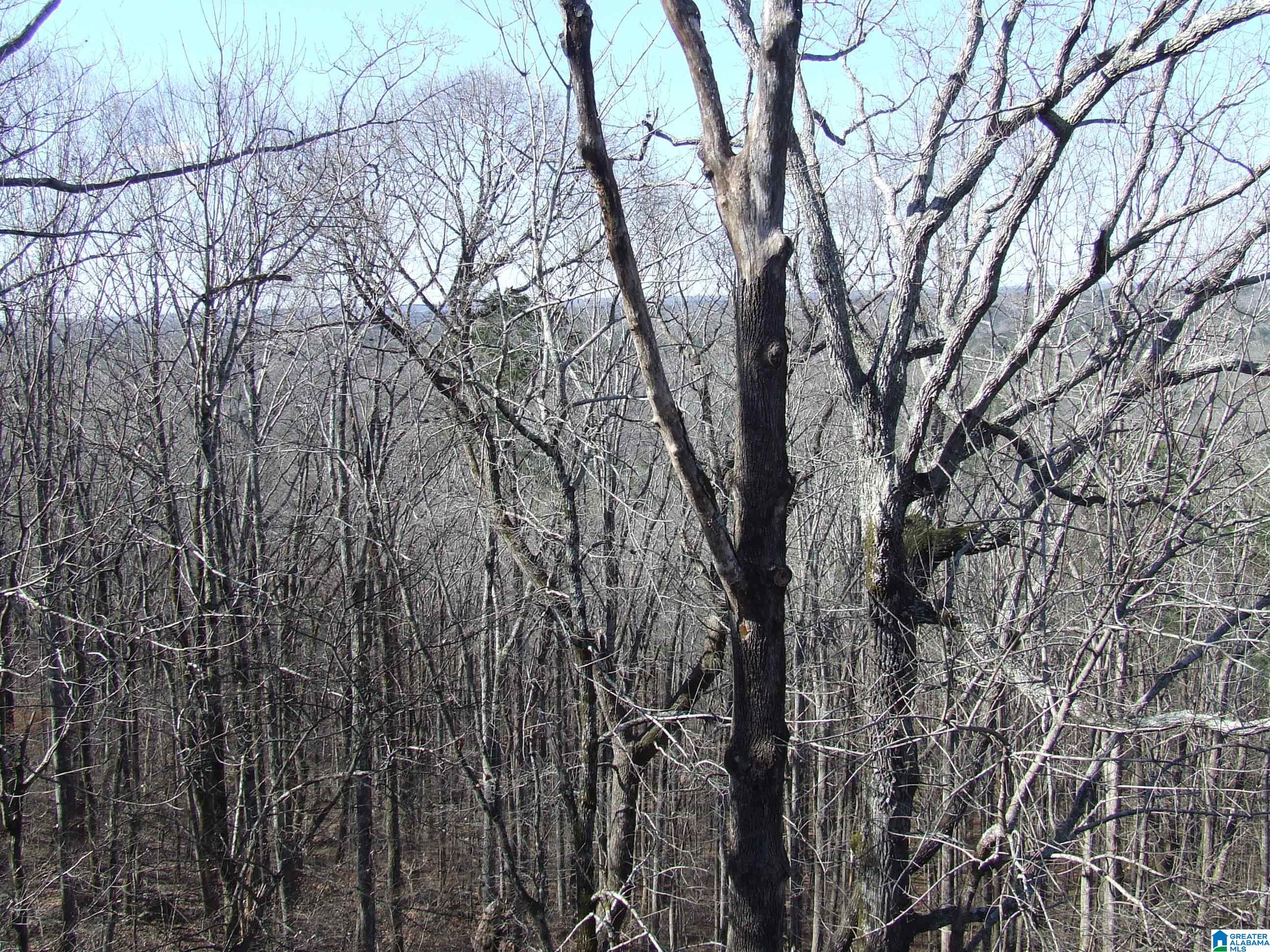 5510 South Shades Crest Road Bessemer, AL 35022 - Photo 4 of 9