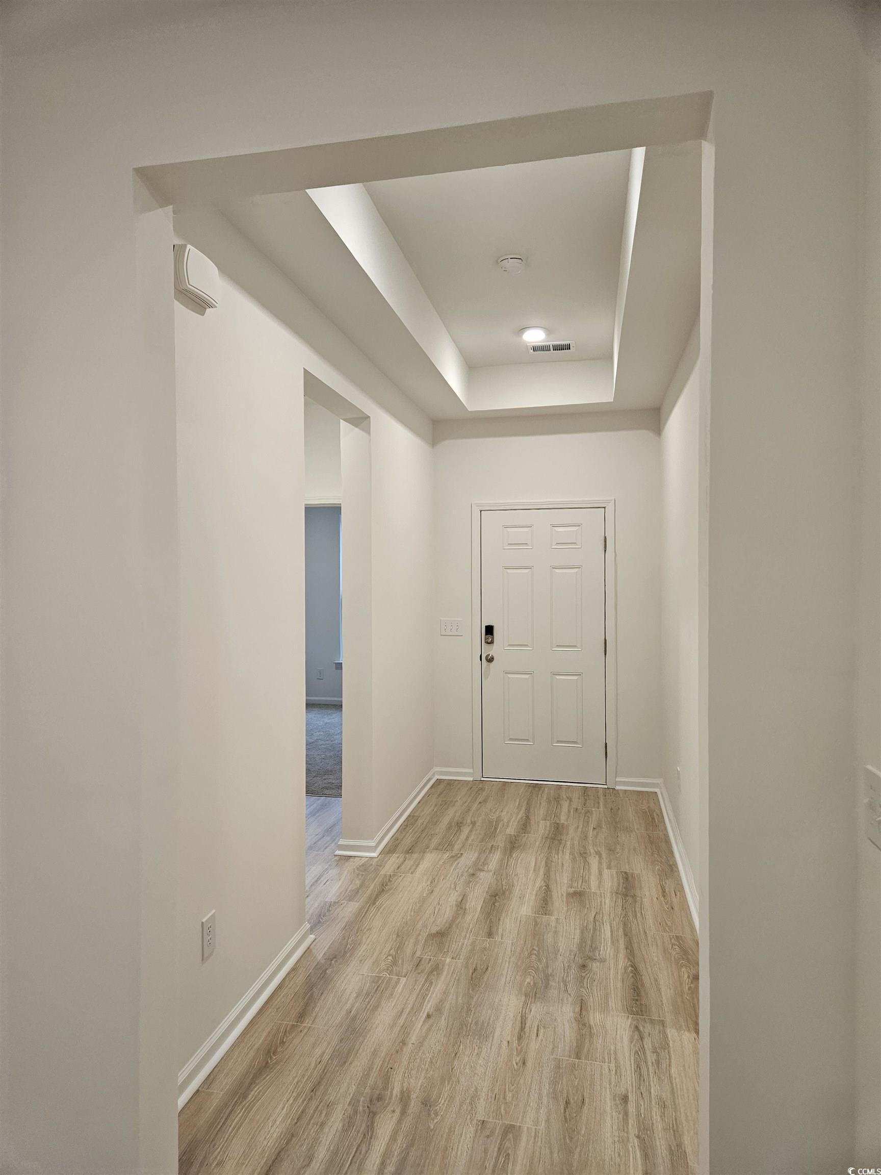 371 Kapalua Loop Little River, SC 29566 - Photo 33 of 37 Hallway featuring a tray ceiling and light wood-type flooring