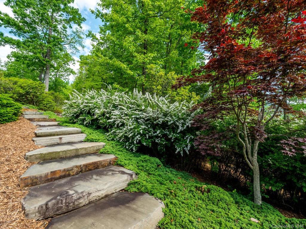 1929 Tree View Trail Arden, NC 28704 - Photo 25 of 35 a view of a yard with plants and large trees