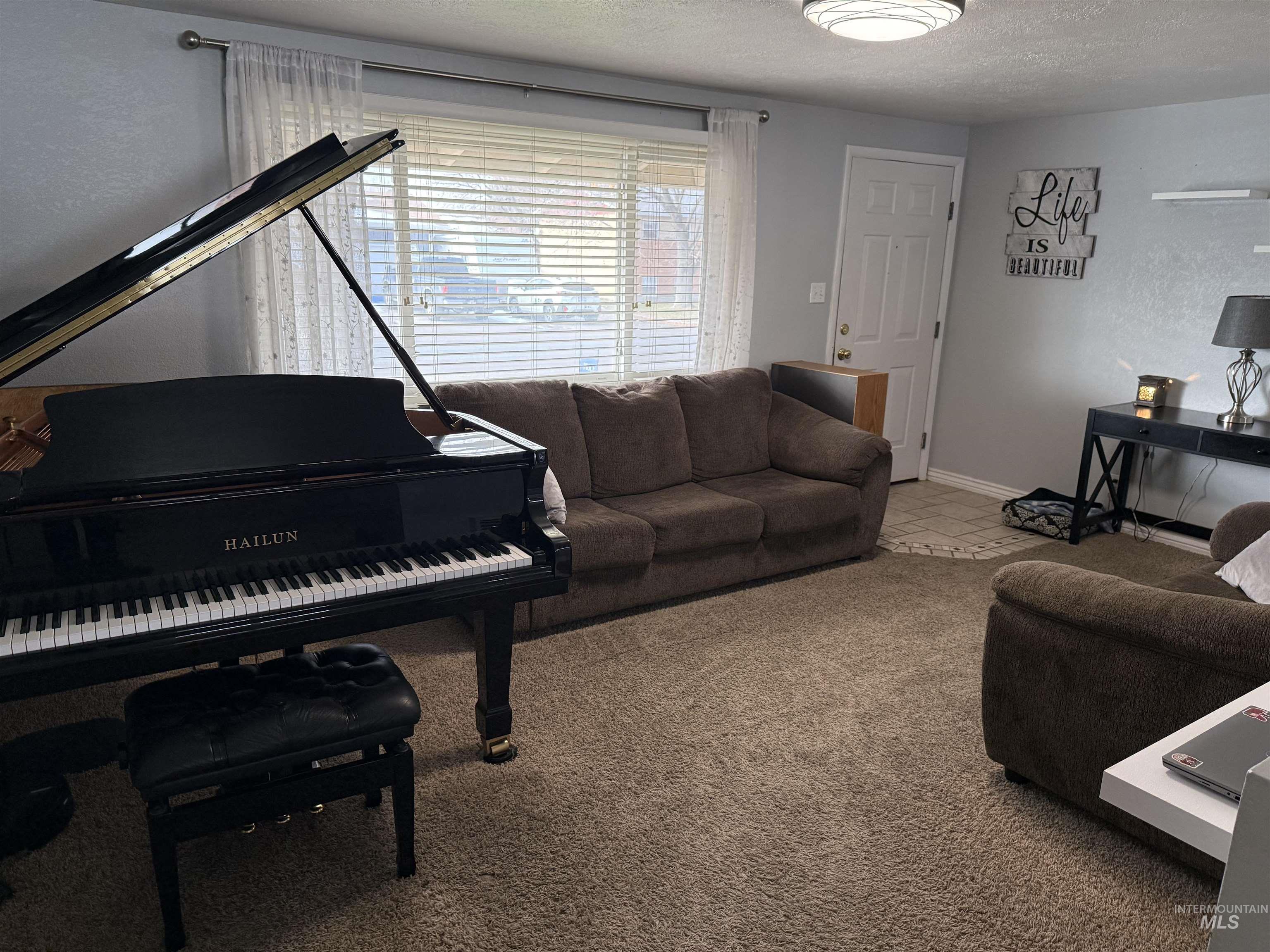 4926 Easy Street Chubbuck, ID 83202 - Photo 21 of 29 Living room with light colored carpet and a textured ceiling