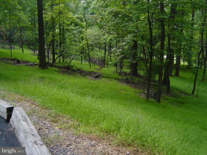 960 High Knob Road Front Royal, VA 22630 - Photo 5 of 14 Other #1