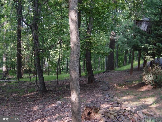 960 High Knob Road Front Royal, VA 22630 - Photo 6 of 14 Other #2
