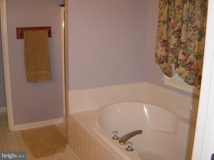960 High Knob Road Front Royal, VA 22630 - Photo 9 of 14 Master Bath