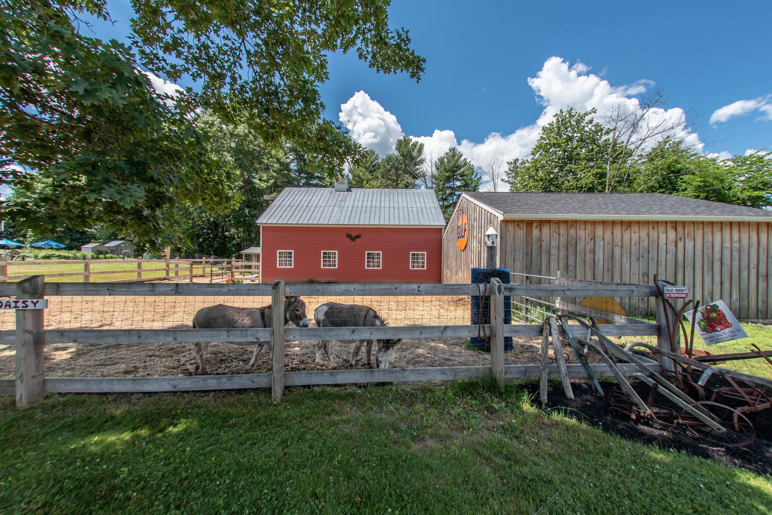 141 Bush Hill Road Pelham, NH 03076 - Photo 8 of 40