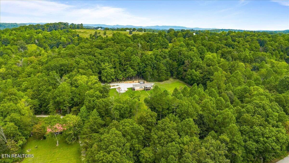 160 Cove Hollow Road La Follette, TN 37766 - Photo 46 of 50 40-Cove Hollow