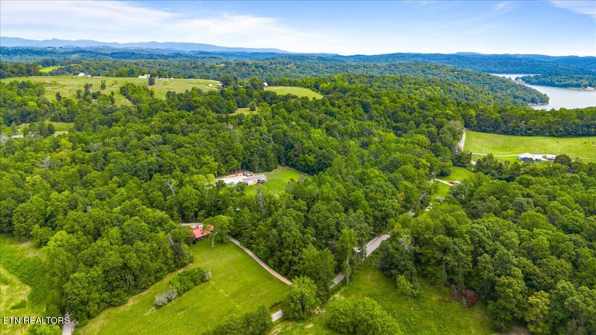 160 Cove Hollow Road La Follette, TN 37766 - Photo 47 of 50 39-Cove Hollow