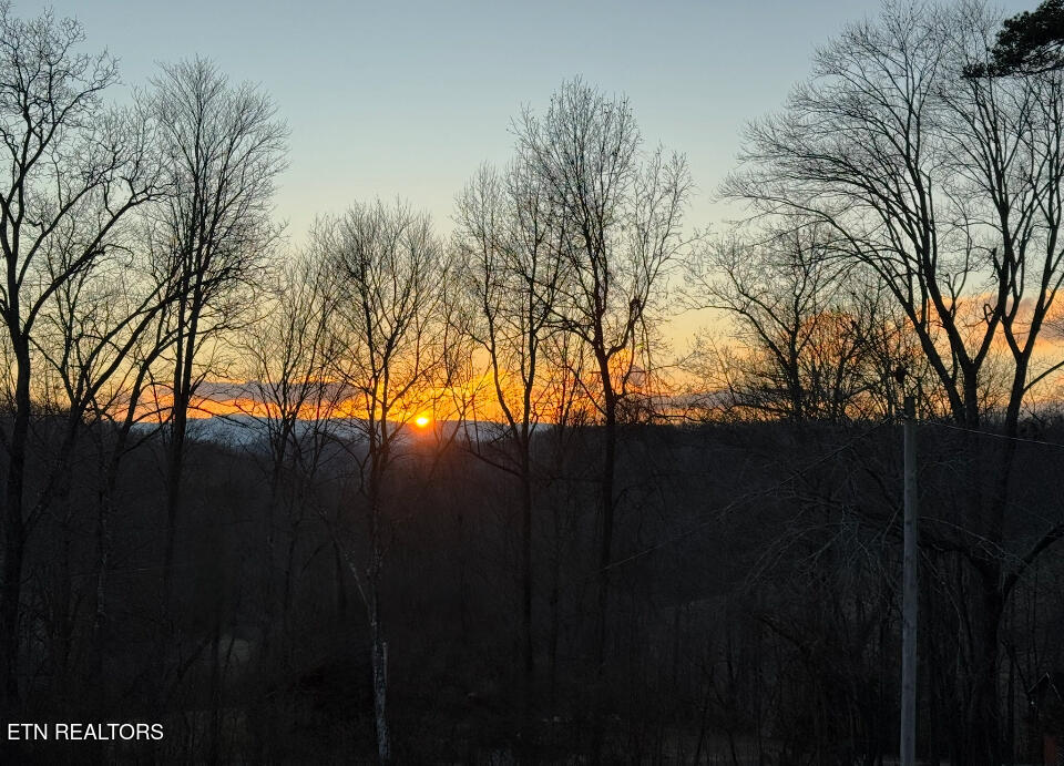 160 Cove Hollow Road La Follette, TN 37766 - Photo 48 of 50 IMG_20250903_141614