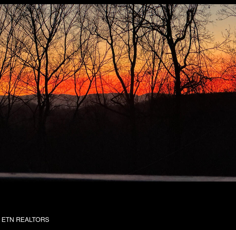 160 Cove Hollow Road La Follette, TN 37766 - Photo 49 of 50 IMG_20250903_141617