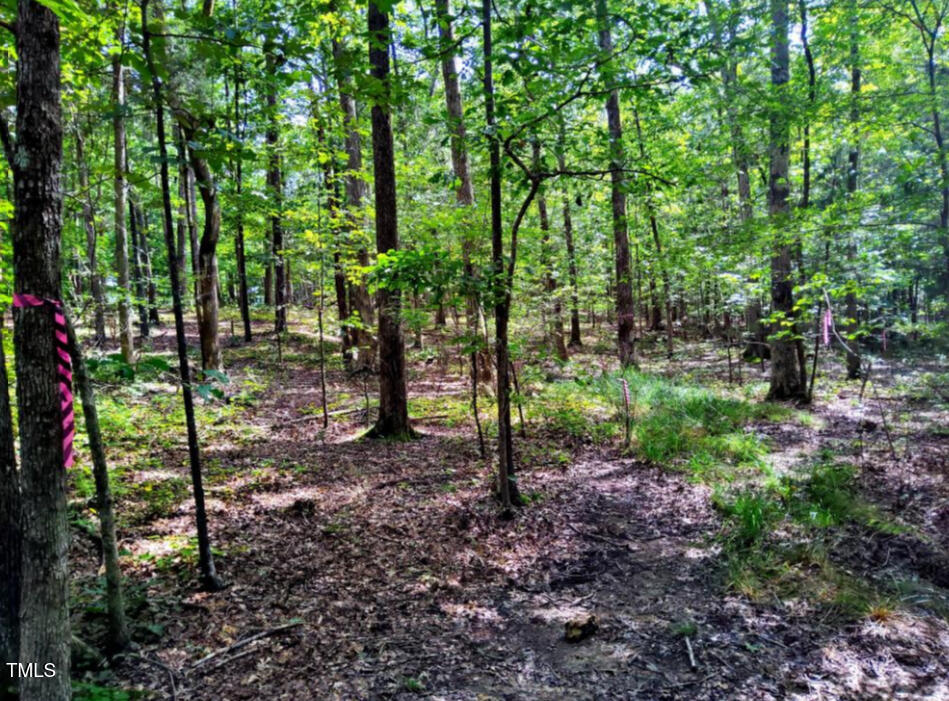 5809 Prioress Drive Durham, NC 27712 - Photo 4 of 7 IMG_0322