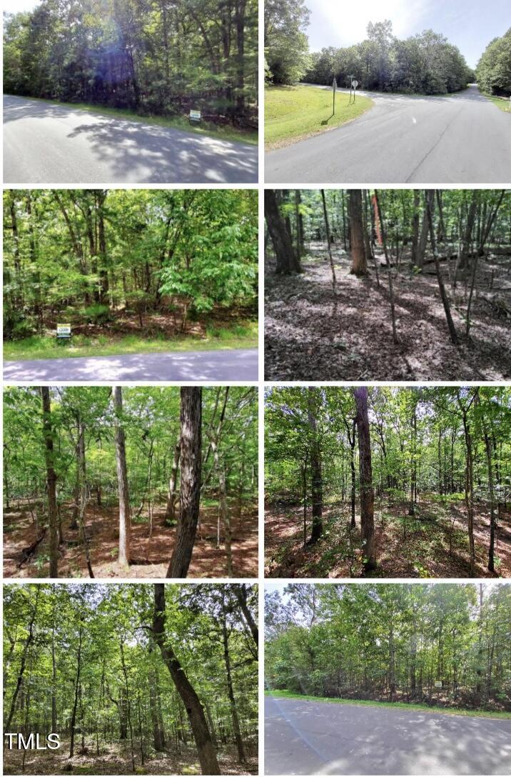 5809 Prioress Drive Durham, NC 27712 - Photo 7 of 7 IMG_0325